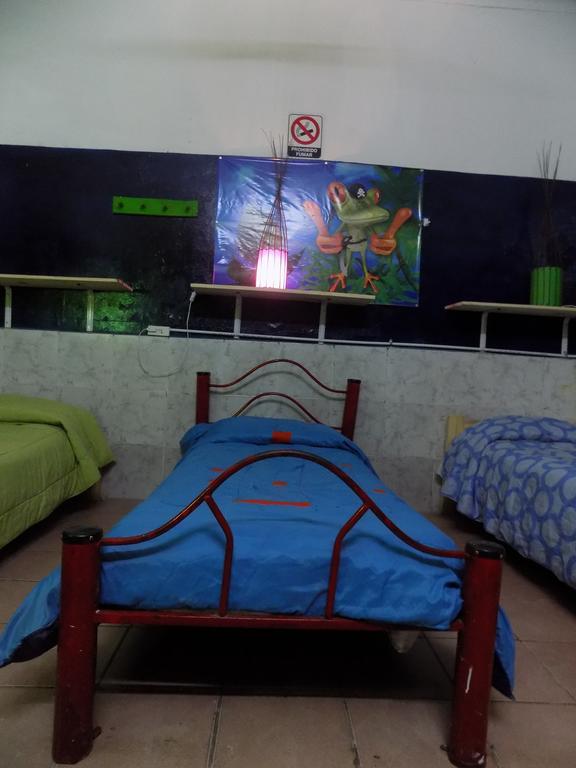 Hospedaje La Rana Буенос Айрес Екстериор снимка